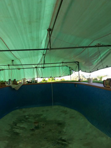 Our Pool Tent